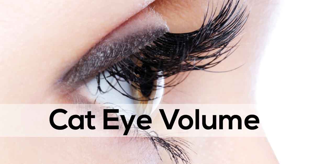 cat eye volume lashes